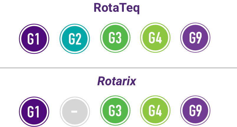 RotaTeq Is Indicated to Help Protect Against Five Rotavirus Strains, Compared to Rotarix