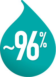 ~96%