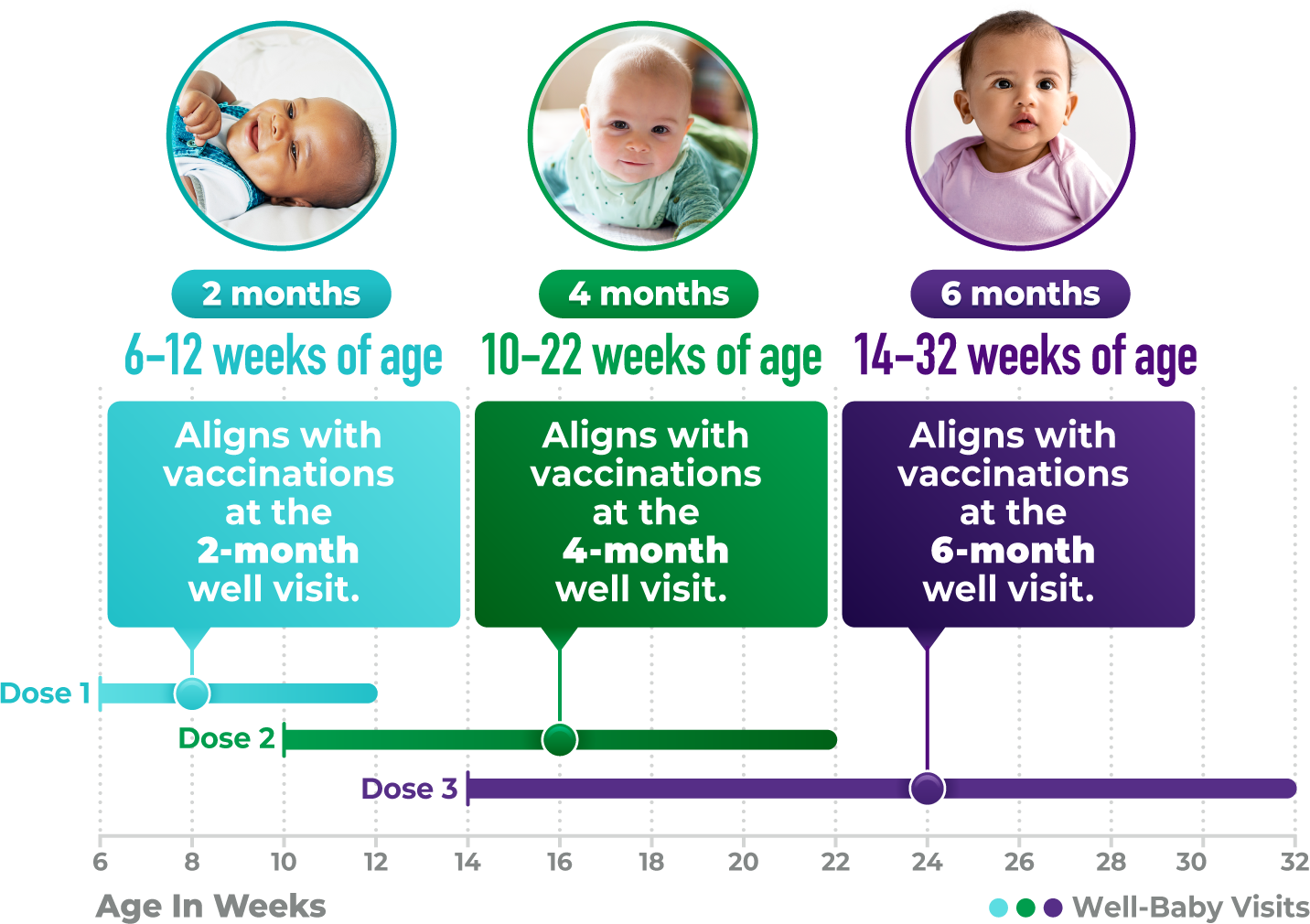 Vaccination-Schedule-for-RotaTeq_Infographic_INFOGRAPHIC_MOB@4x Dose 1 at 6-12 Weeks of Age, Aligned With the 2-Month Well Visit; Dose 2 at 10-22 Weeks, Aligned With the 4-Month Well Visit; And Dose 3 at 14-32 Weeks, Aligned With the 6-Month Well Visit