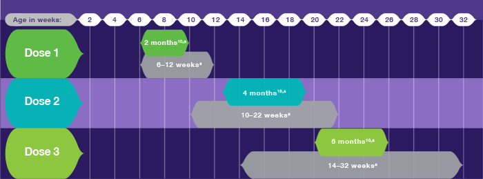 The Dosing Schedule for RotaTeq® (Rotavirus Vaccine, Live, Oral, Pentavalent): 3 Dose Vaccine Series Aligns With Well-Baby Visits at 2, 4, and 6 Months of Age The Dosing Schedule for RotaTeq® (Rotavirus Vaccine, Live, Oral, Pentavalent): 3 Dose Vaccine Series Aligns With Well-Baby Visits at 2, 4, and 6 Months of Age