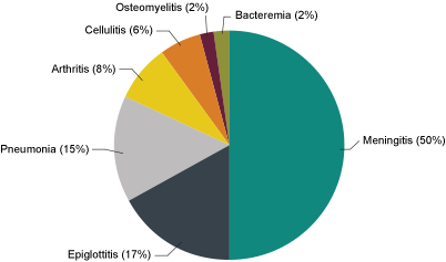 Chart of Diseases Caused By Invasive Haemophilus Influenzae type b (Hib) Prior to 1990 Chart of Diseases Caused By Invasive Haemophilus Influenzae type b (Hib) Prior to 1990
