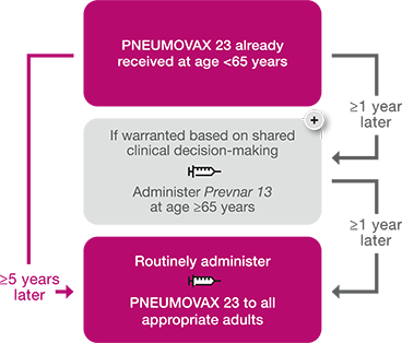 Pneumococcal Vaccine For Ages 65 Cdc Recommendations