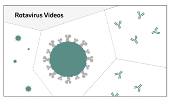 Medical Education Video: Addressing Gaps in Understanding Rotavirus Disease.