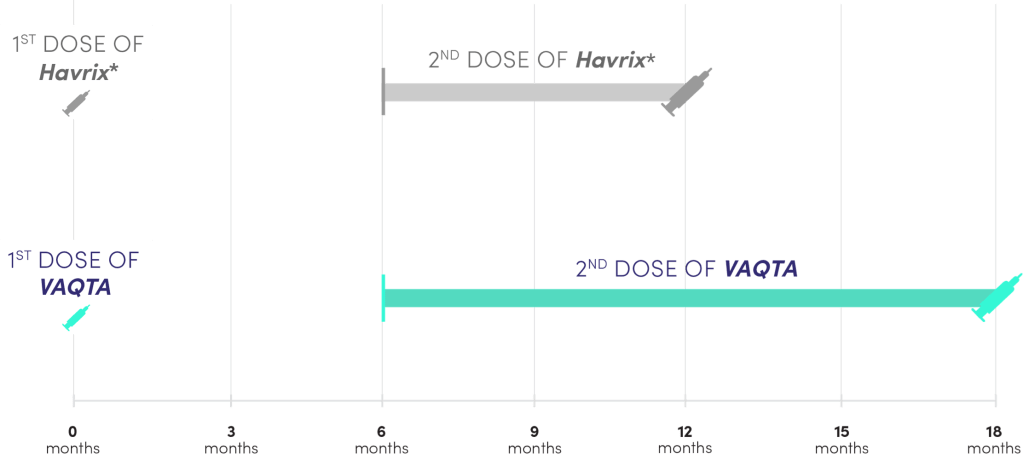 Chart of the Flexible Pediatric Dosing Window for VAQTA® (Hepatitis A Vaccine, Inactivated) Compared to Havrix*